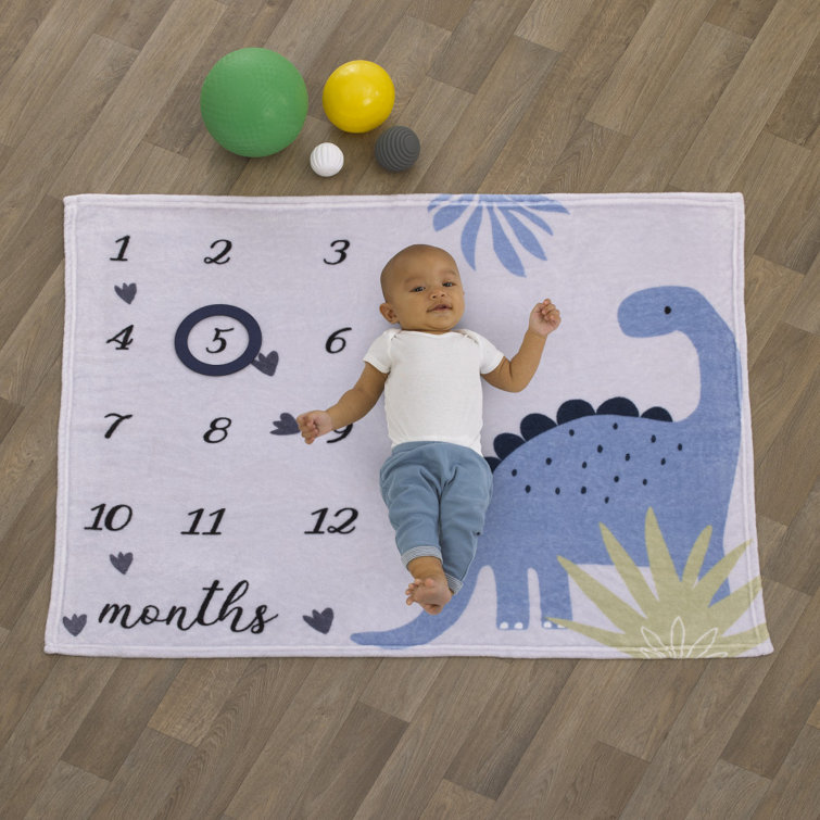 Carter's Blue/Grey Baby Blanket Wayfair Canada